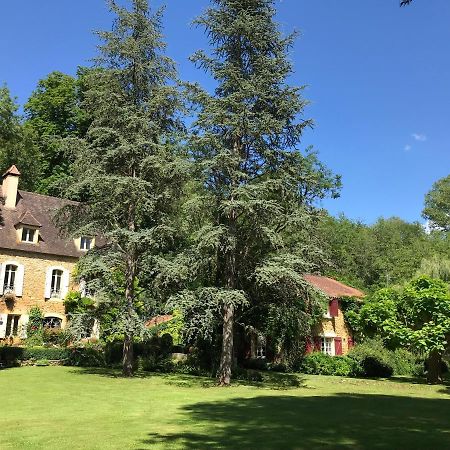 Bed & Breakfast Le Moulin Neuf Bed & Breakfast Saint-Alvere Exterior photo