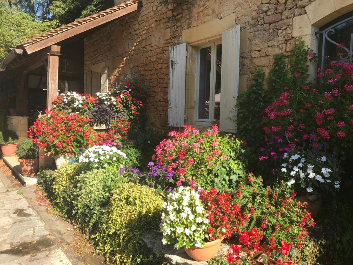 Bed & Breakfast Le Moulin Neuf Bed & Breakfast Saint-Alvere Exterior photo